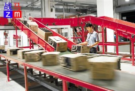 自動化分揀系統(tǒng)