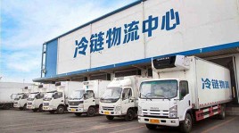 冷庫貨架案例（冷鏈物流）